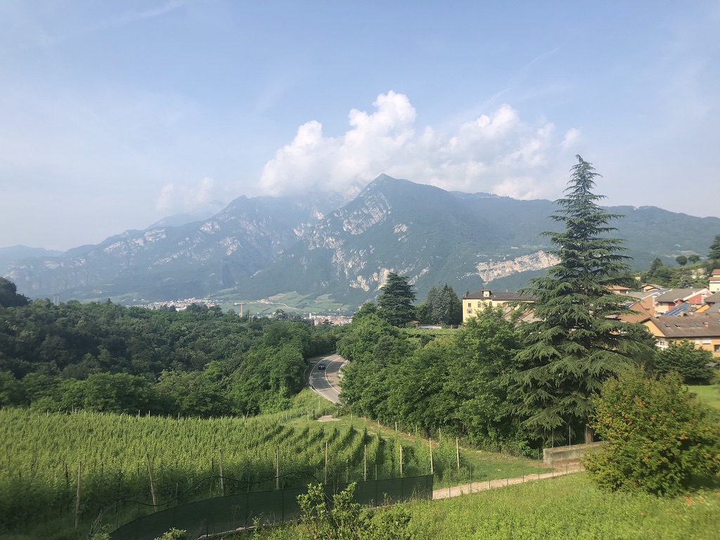 High-elevation vineyards of Blanc de Morgex et de La Salle near Mont Blanc, among Europe’s highest commercial sites.